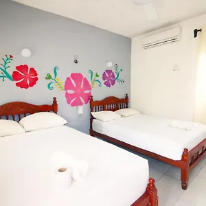 hotel-los-arcos-holbox.quintano-roohotels.com/