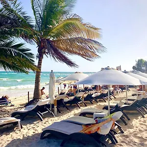 https://silversands-hotel-boutique-5th-ave.quintano-roohotels.com